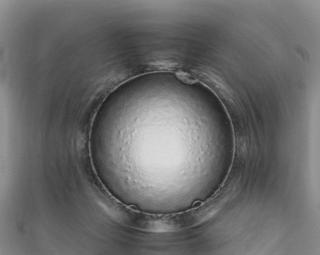 X0000111190365200907081301