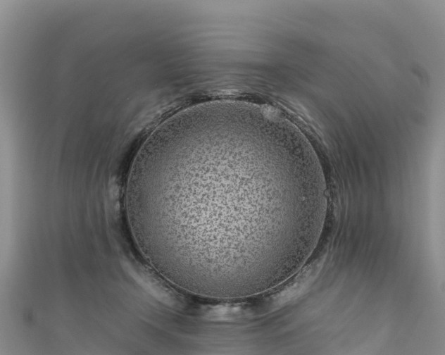 X0000111190366200907081301