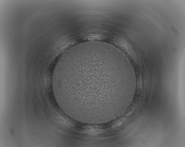 X0000111190367200907081301