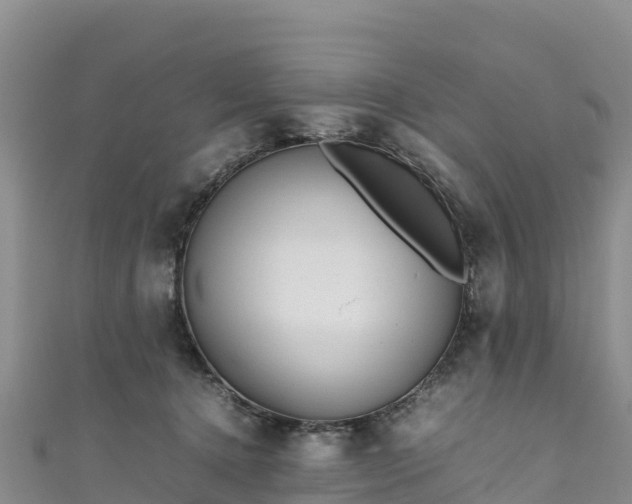 X0000111190368200907081301