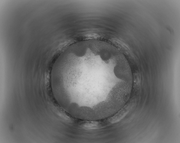 X0000111190369200907081301