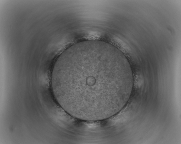 X0000111190370200907081301