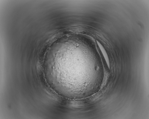 X0000111190371200907081301