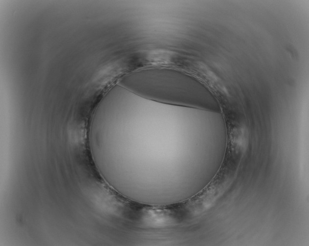 X0000111190372200907081301