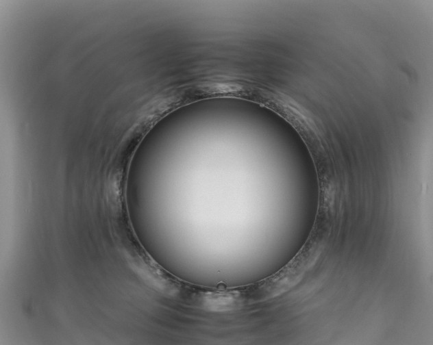 X0000111190373200907081301