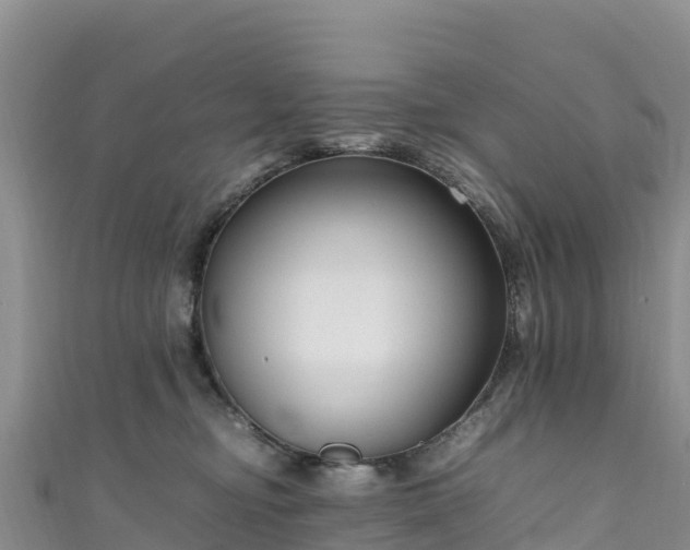 X0000111190374200907081301