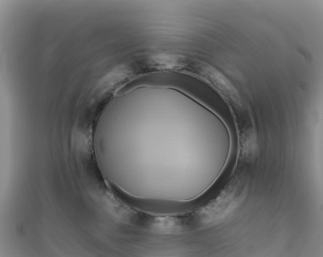 X0000111190376200907081301