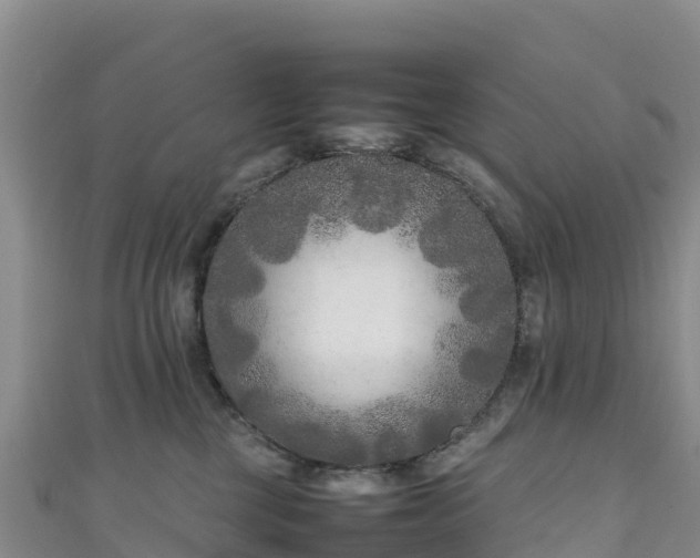 X0000111190377200907081301