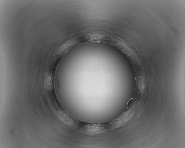 X0000111190378200907081301