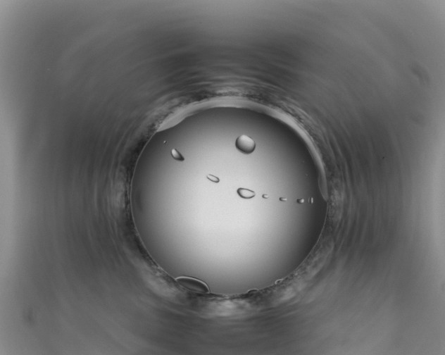 X0000111190379200907081301