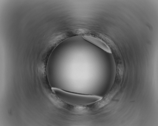 X0000111190380200907081301