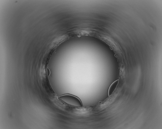 X0000111190381200907081301