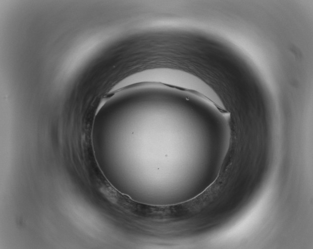 X0000111190382200907081301