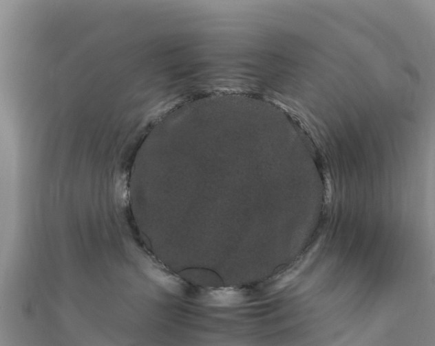 X0000111190383200907081301