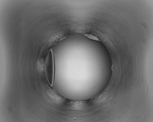 X0000111190384200907081301