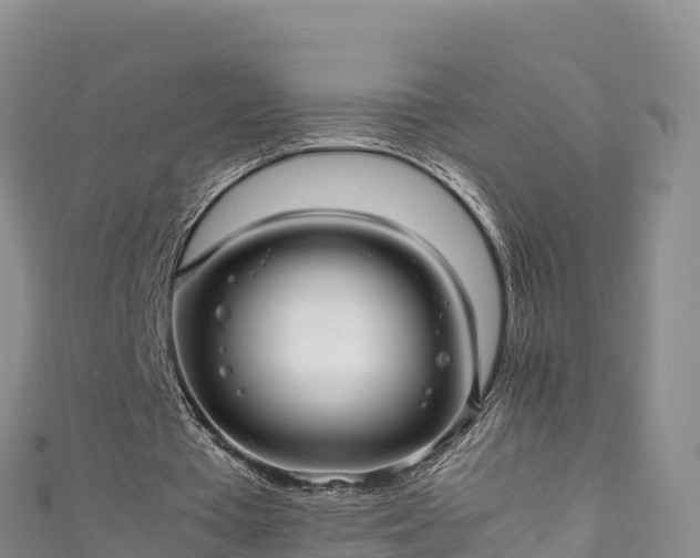 X0000111190385200907081300