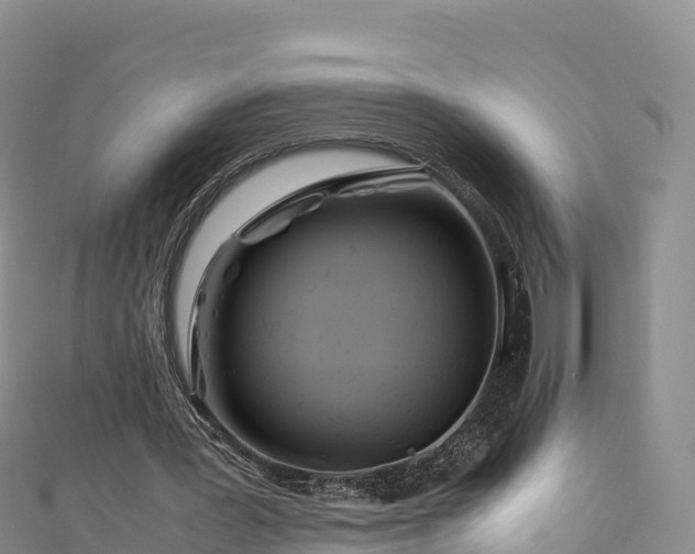 X0000111190387200907081300