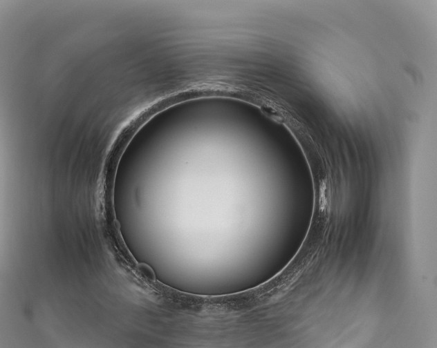 X0000111190388200907081300