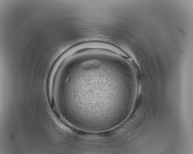 X0000111190389200907081300