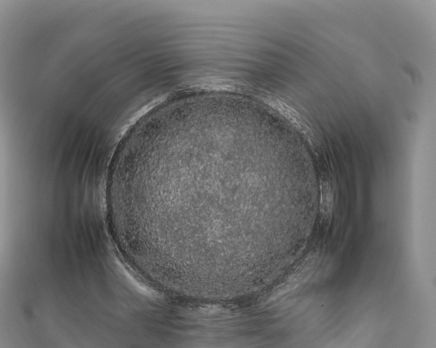 X0000111190390200907081300