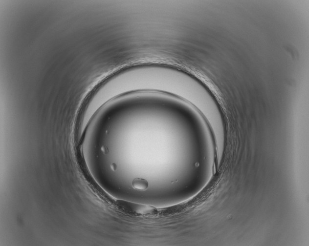 X0000111190391200907081300