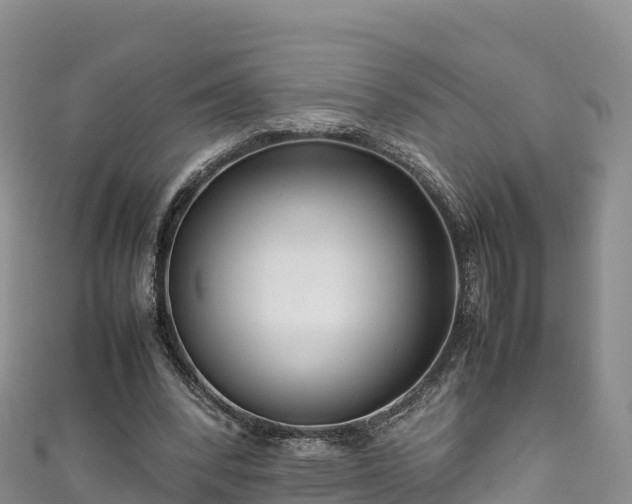 X0000111190392200907081300