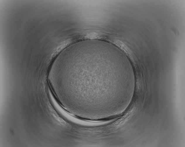 X0000111190393200907081300