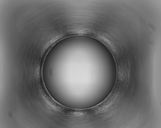 X0000111190394200907081300