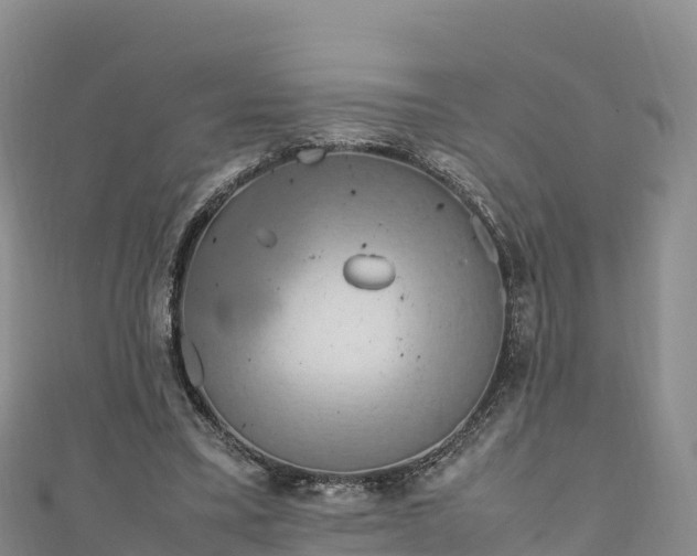 X0000111190395200907081300