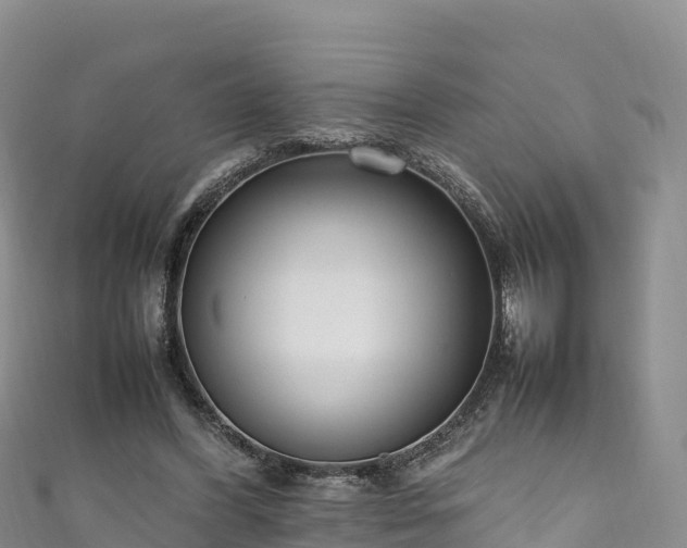 X0000111190396200907081300