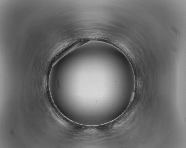 X0000111190397200907081300