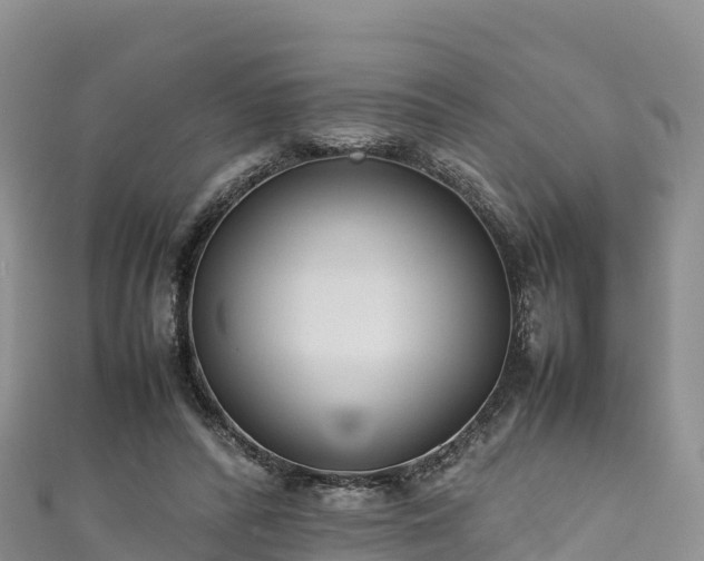 X0000111190400200907081300