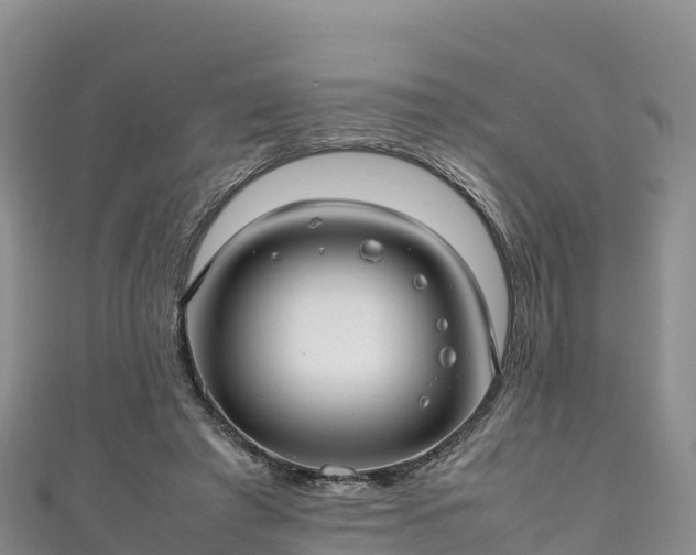 X0000111190401200907081300