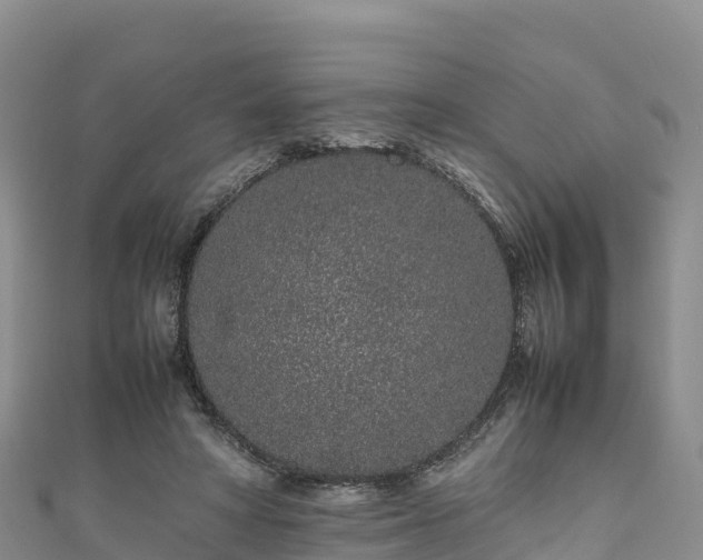 X0000111190402200907081300