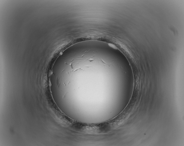 X0000111190403200907081300