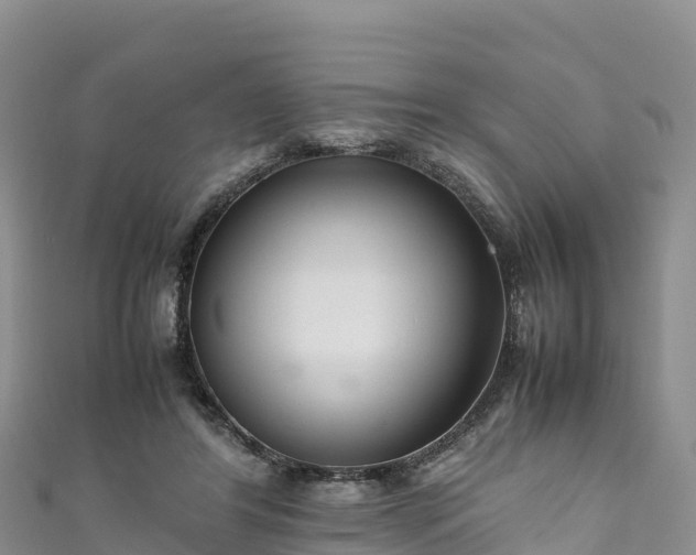 X0000111190404200907081300