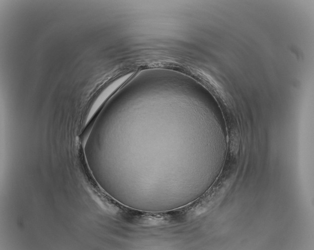 X0000111190405200907081300