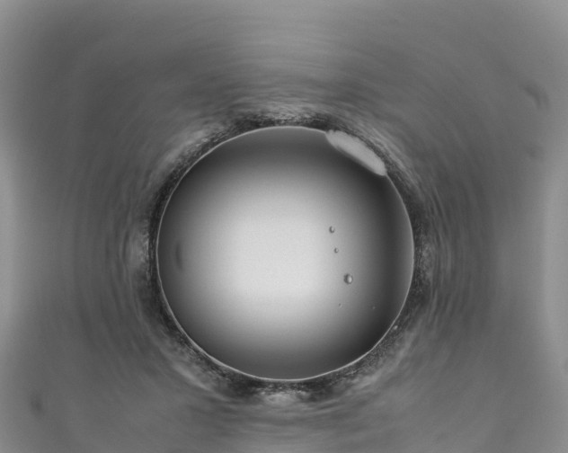 X0000111190407200907081300