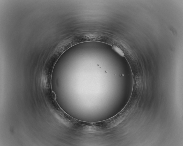 X0000111190408200907081300