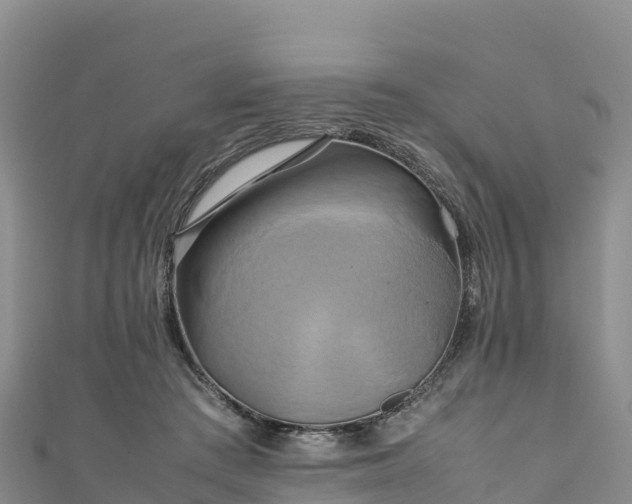 X0000111190409200907081300