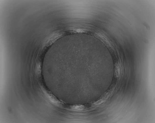 X0000111190410200907081300