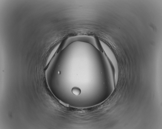 X0000111190411200907081300