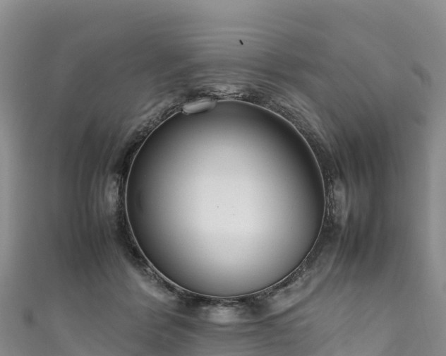 X0000111190412200907081300