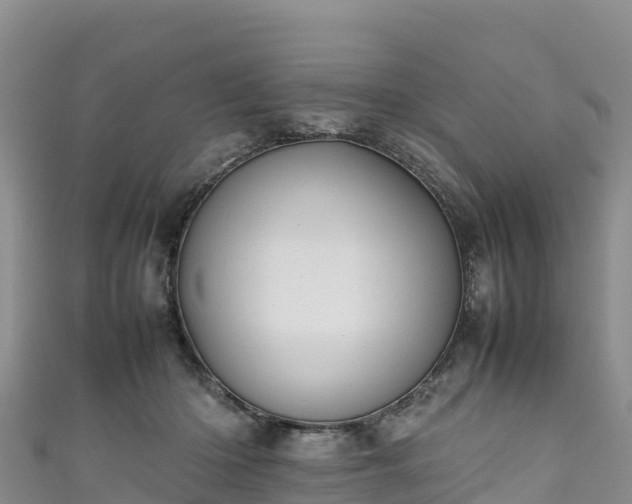 X0000111190414200907081300