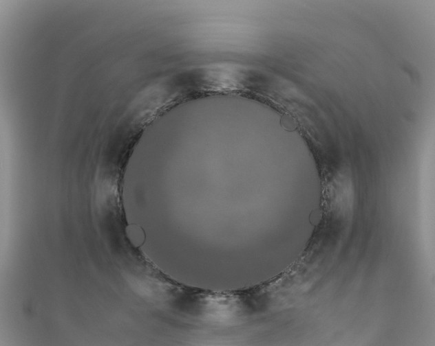 X0000111190415200907081300