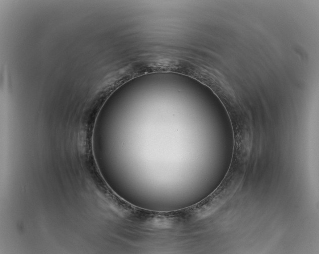 X0000111190416200907081300