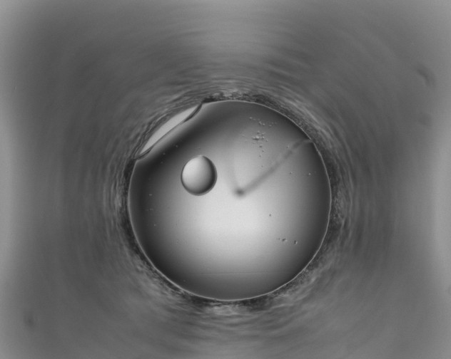 X0000111190417200907081300