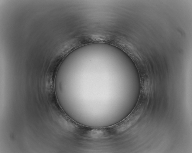 X0000111190418200907081300