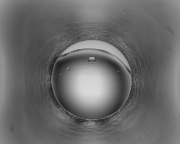 X0000111190419200907081300