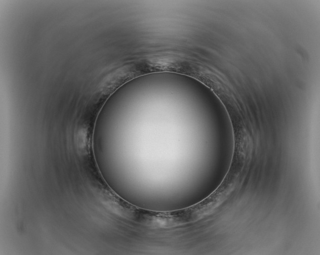 X0000111190420200907081300